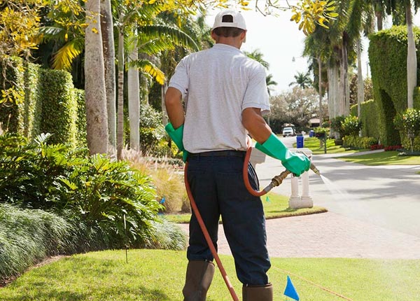 About Franklin Square NY Pest Control